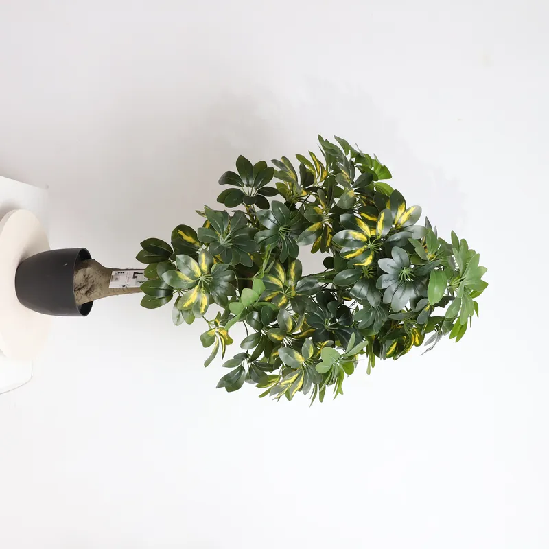Bonsai Garden Price - Arbre Bonsaï Artificiel Schefflera à Prix