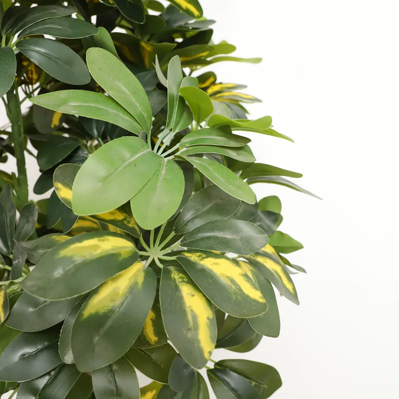 Arbre Bonsaï Artificiel Scheff - Bonsai Garden Price avis et prix